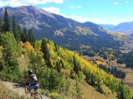 401 Trail Mountain Biking Crested Butte