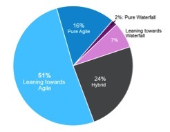 Agile usage among different organzations