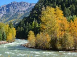 Animas River Durango CO Early Fall Colors