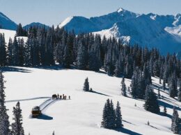 Aspen Powder Tours Snowcat Skiing Colorado