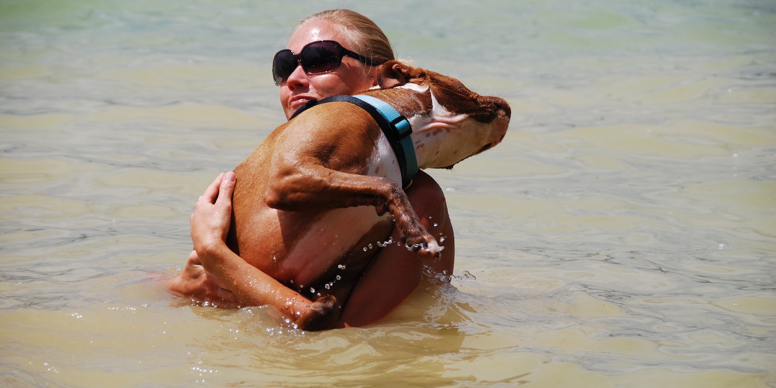 Boulder Reservoir Colorado Lady swimming holding a dog
