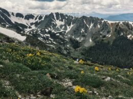 Byers Peak Wilderness Mountain Colorado