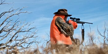 Colorado hunter sighting in rifle near Meeker, CO
