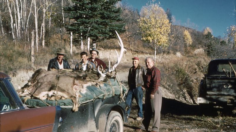 Colorado Hunters Elk
