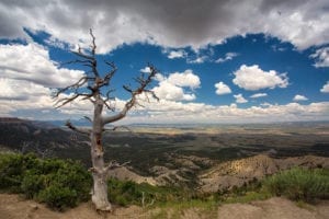 Colorado Trip Planner Summer Mesa Verde National Park