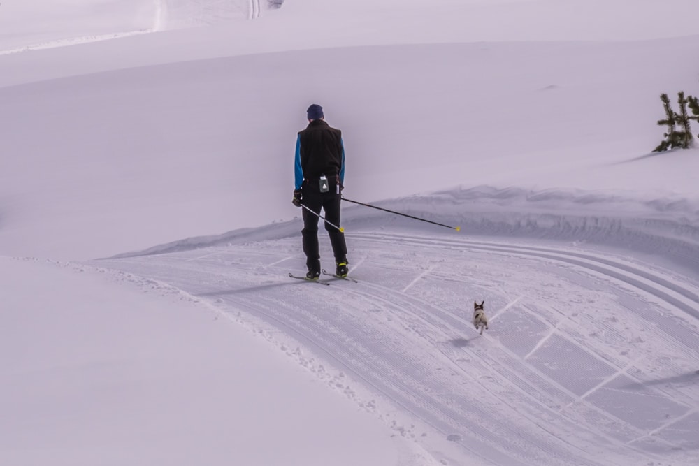 Man Cross Country Skiing with his dog in Crested Butte CO