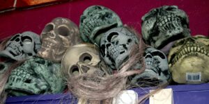 Wizard's Chest Halloween Store Skulls Denver Colorado