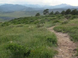 Image of the Eagle Wind Trail at the Jon Stewart Preserve at Rabbit Mountain in Boulder, Colorado