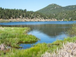 Evergreen Lake Marshlands Colorado