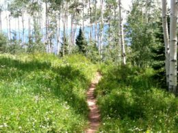 Government Trail in Aspen, Colorado