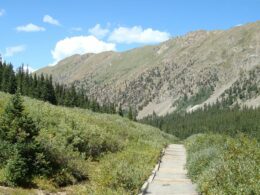 Grays Peak Trail Colorado Tree Line