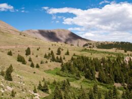 Greenhorn Mountain Wilderness Colorado
