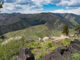 Greyrock Trail Laporte Colorado