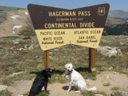 Hagerman Pass, Colorado