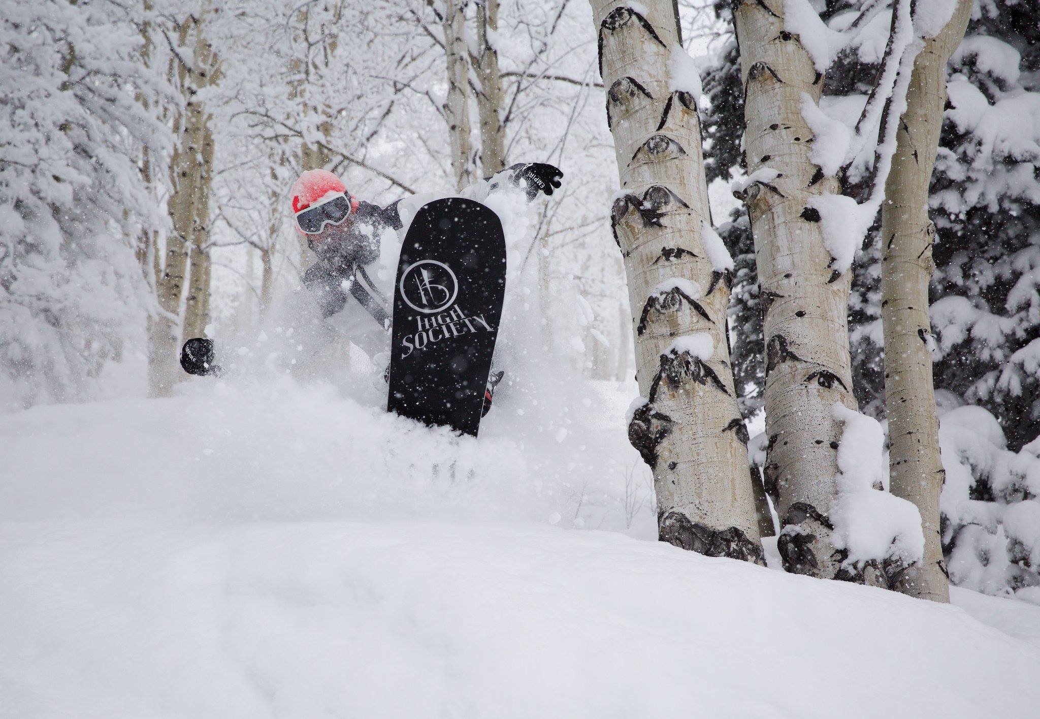 Snowboarder with bright orange helmet making a turn among a grove of aspens in deep powder snow on a High Society snowboard