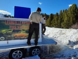 Image of people working for Leadville National Fish Hatchery in Colorado