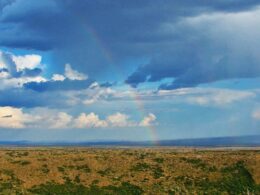 Mesa Verde Wilderness Rainbow