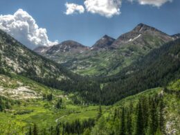 Raggeds National Wilderness Area Colorado