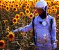 Astronaut in a sunflower field