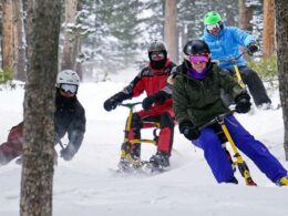 Rogers Snowbike Rentals Breckenridge Colorado Trees