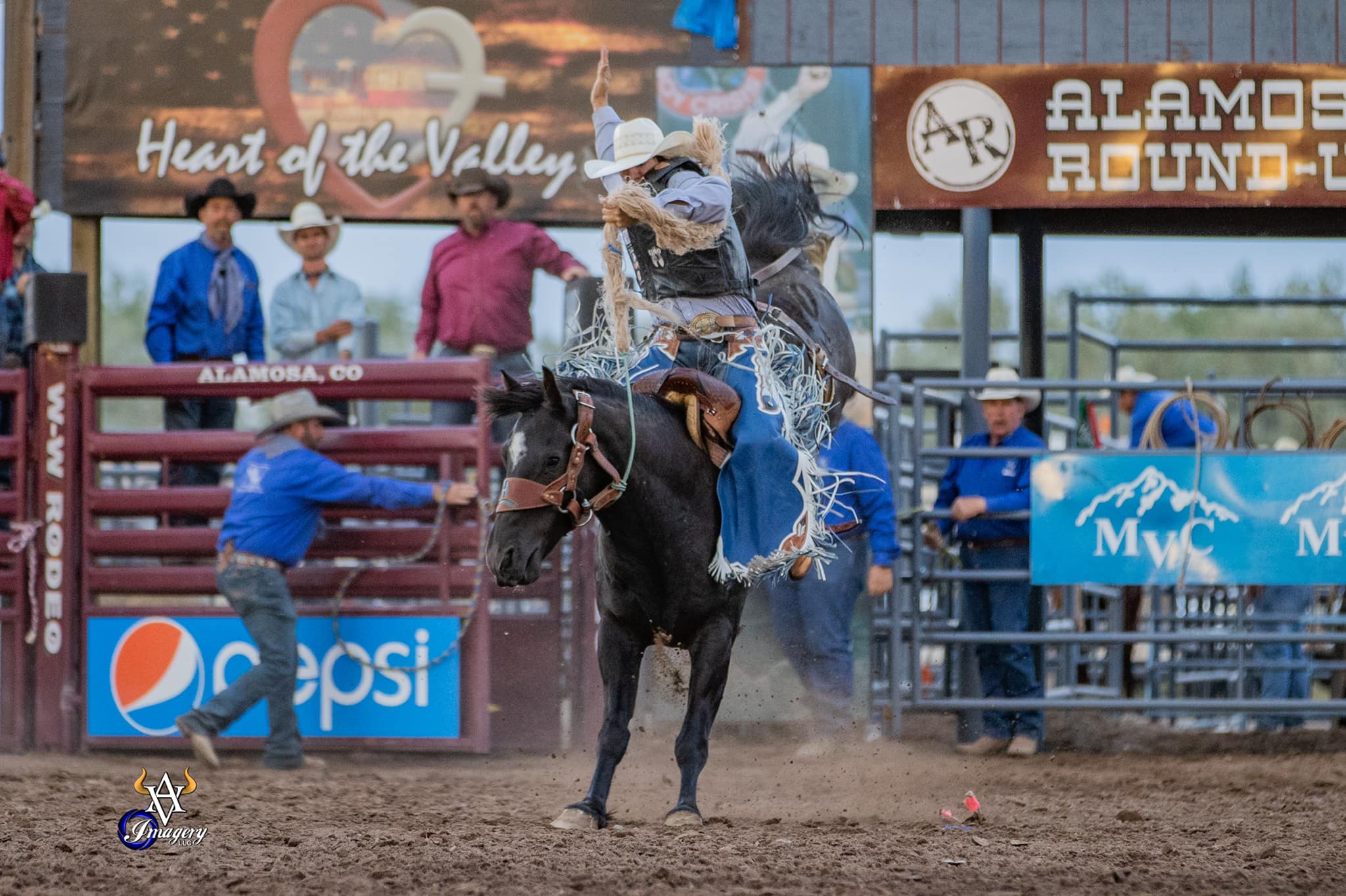 Person on a bucking horse in the middle of a rodeo ring for Alamosa's annual Round-UP Rodeo