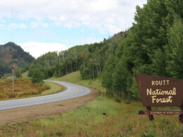 Routt National Forest, Colorado
