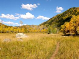 Swamp Park Trail Single Track Steamboat Springs Autumn Colors