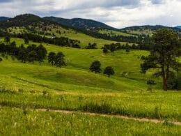 Image of scenic views at White Ranch Park in Golden, Colorado