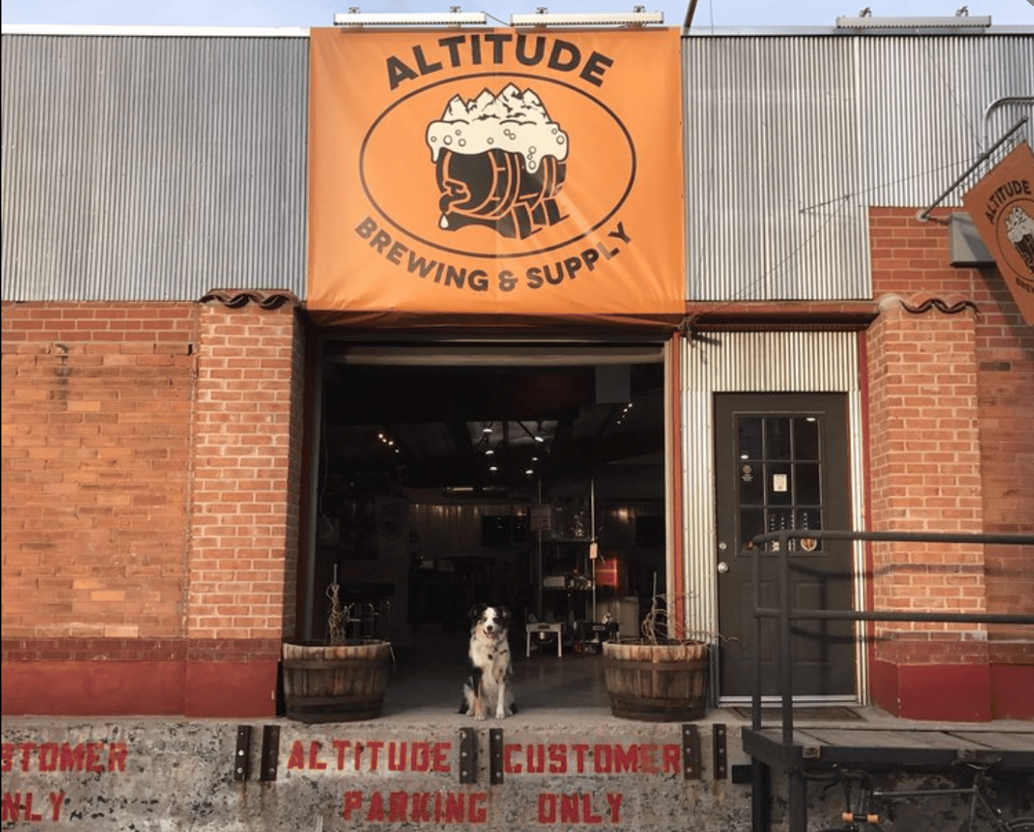 Black and white dog sitting in front of warehouse garage door with yellow Altitude Brewing & Supply banner above